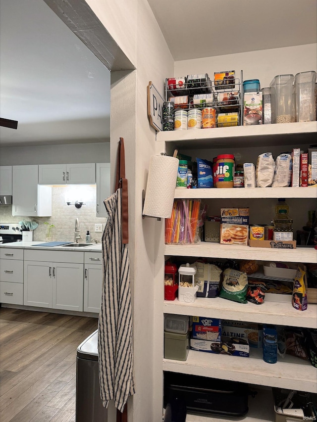 pantry featuring sink