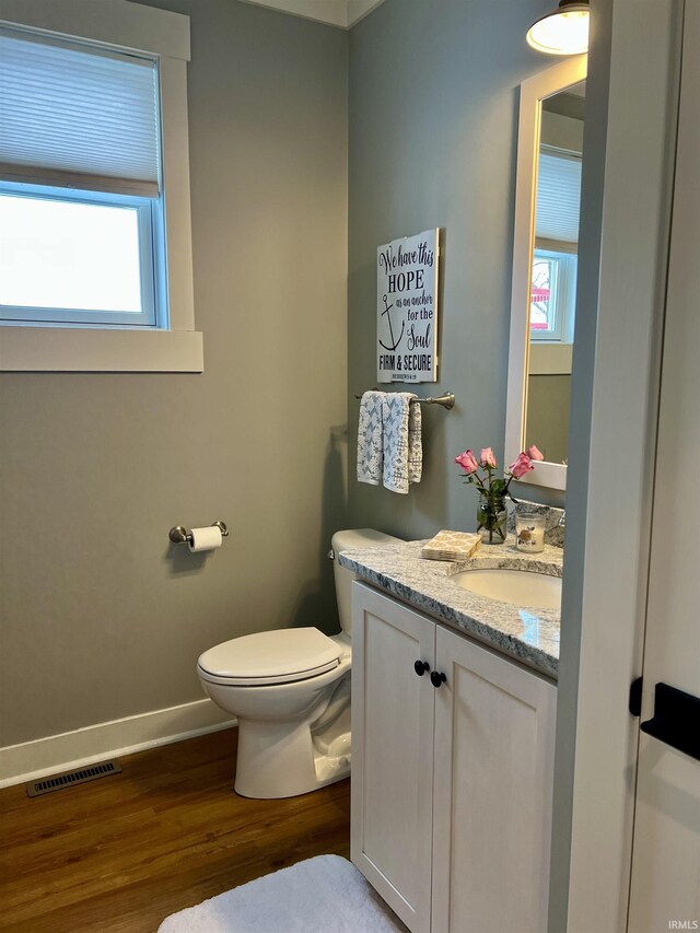 bathroom with wood-type flooring, vanity, and toilet