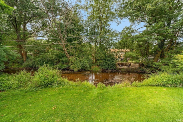 view of yard featuring a water view