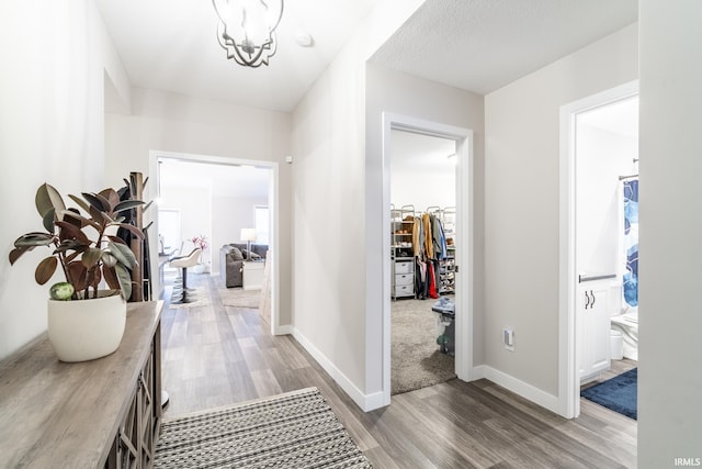 hall with hardwood / wood-style flooring and a notable chandelier