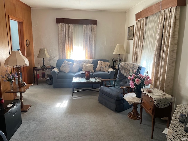 carpeted living room with ornamental molding and wooden walls