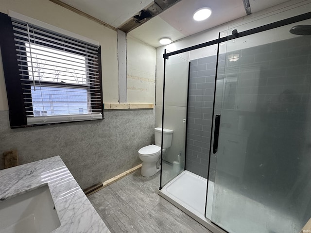 bathroom featuring vanity, a shower with shower door, and toilet