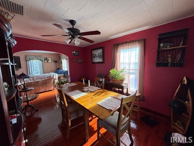 dining area with a wealth of natural light, hardwood / wood-style floors, and ceiling fan