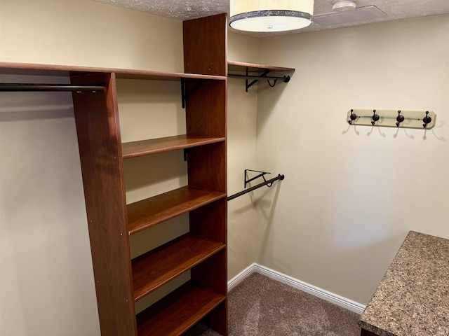 walk in closet featuring carpet flooring