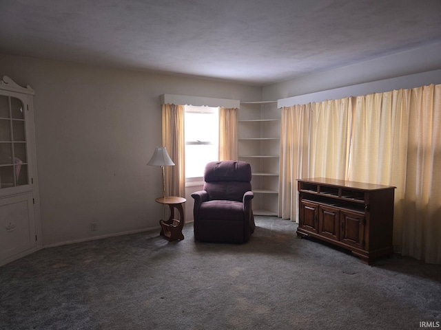 sitting room featuring dark carpet