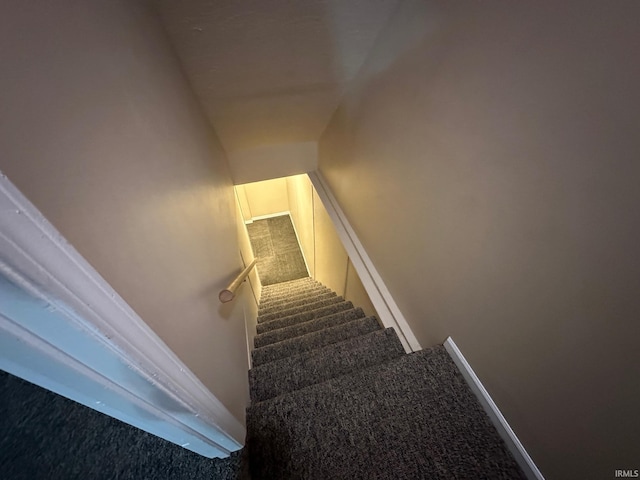 stairway featuring carpet floors