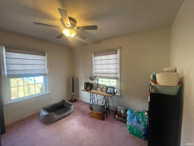 misc room featuring carpet flooring, a wealth of natural light, ceiling fan, and a textured ceiling