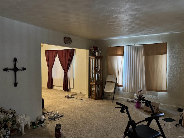 exercise room with light carpet and a textured ceiling