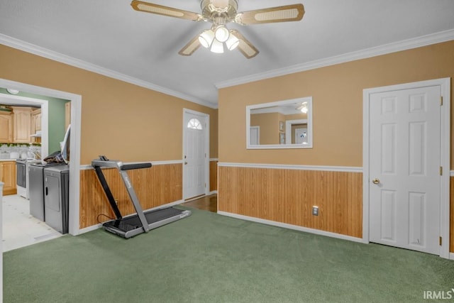 exercise room with ceiling fan, carpet, and ornamental molding