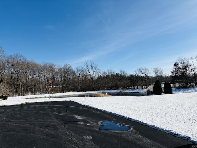 view of snowy yard