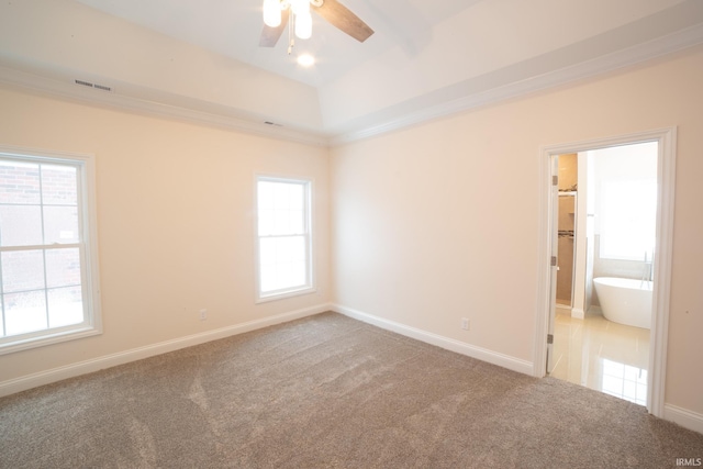 spare room featuring carpet, ceiling fan, a raised ceiling, and a wealth of natural light