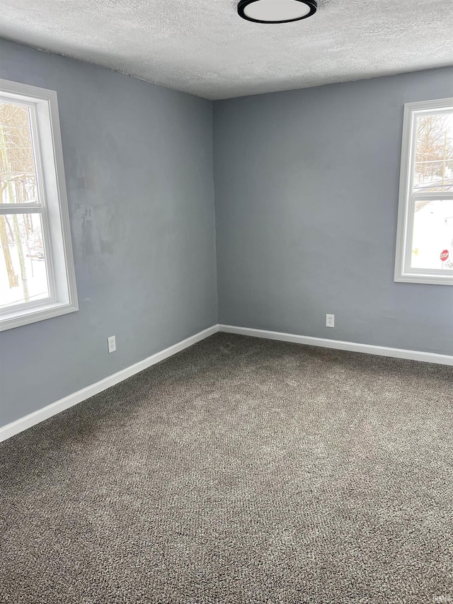 empty room with carpet, a textured ceiling, and a wealth of natural light