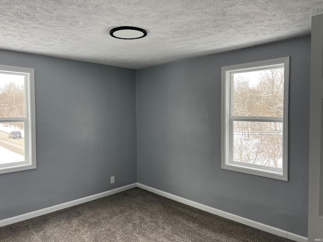 empty room with carpet flooring, plenty of natural light, and a textured ceiling