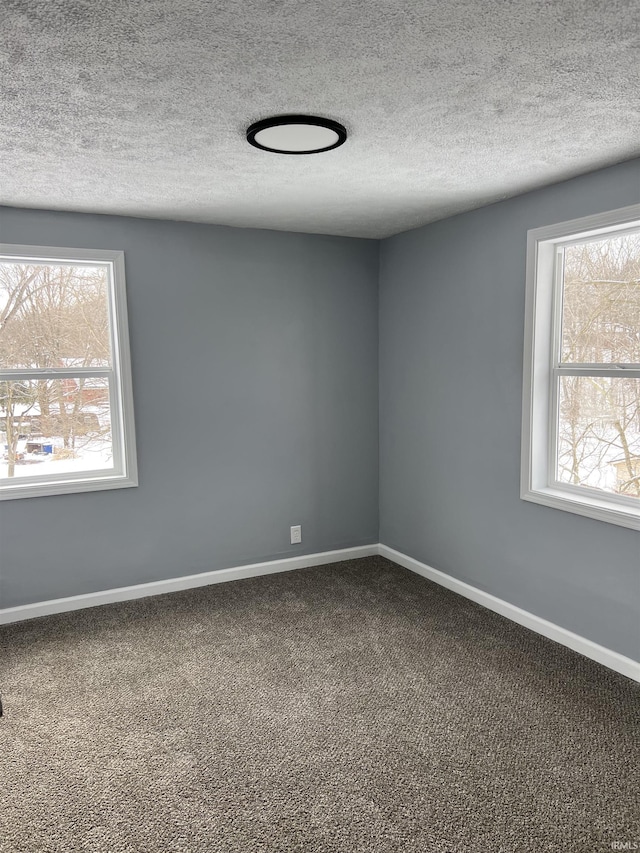 empty room featuring a healthy amount of sunlight, carpet floors, and a textured ceiling