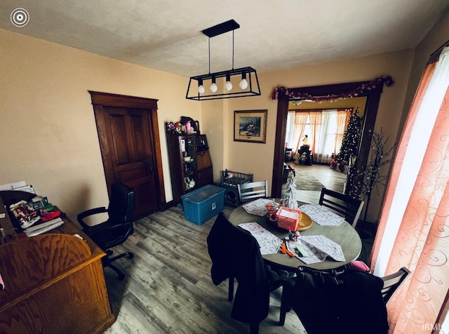 dining room with wood-type flooring