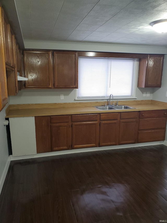 kitchen with wood counters, dark hardwood / wood-style flooring, ornamental molding, and sink