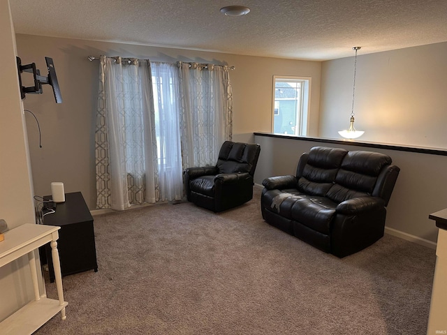 carpeted living room with a textured ceiling