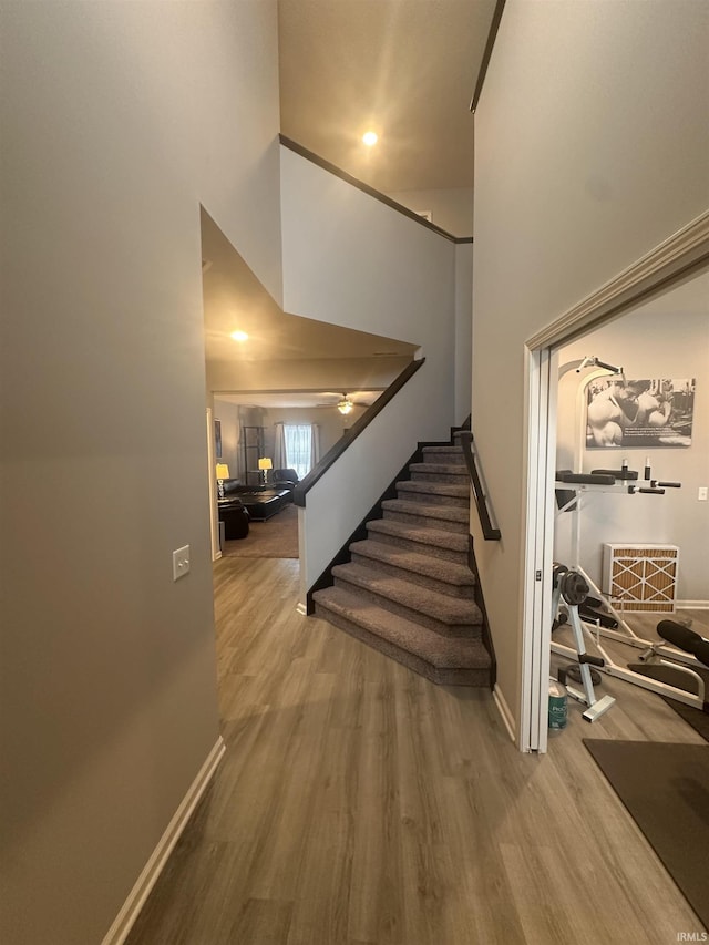 stairs with ceiling fan and wood-type flooring