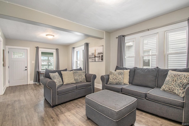 living room featuring wood-type flooring