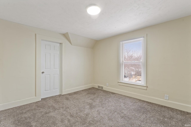 additional living space with carpet, lofted ceiling, and a textured ceiling