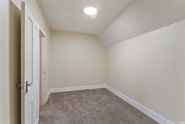 additional living space featuring carpet flooring, a textured ceiling, and lofted ceiling