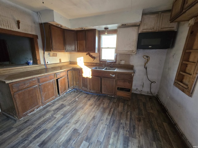 kitchen featuring dark hardwood / wood-style floors and sink