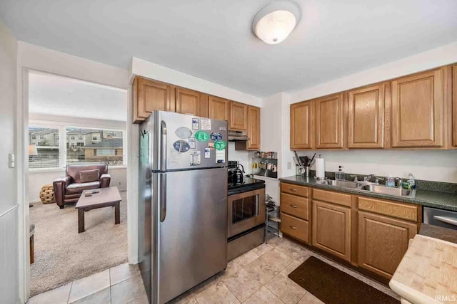 kitchen featuring light carpet, stainless steel appliances, and sink