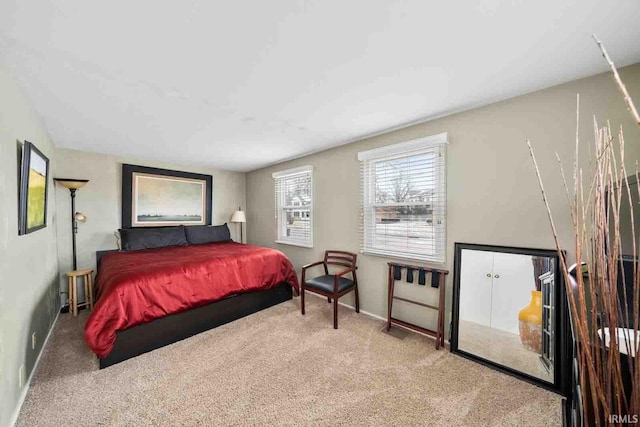 bedroom with carpet floors