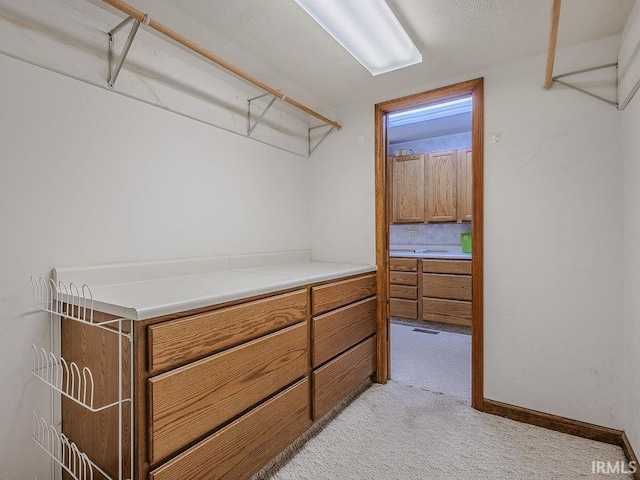 walk in closet with light colored carpet