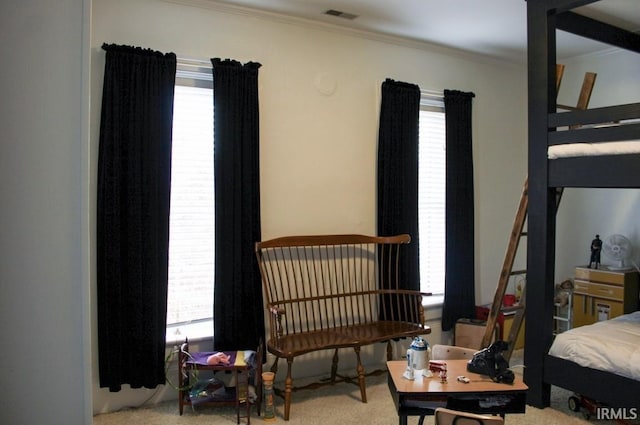 carpeted bedroom with crown molding