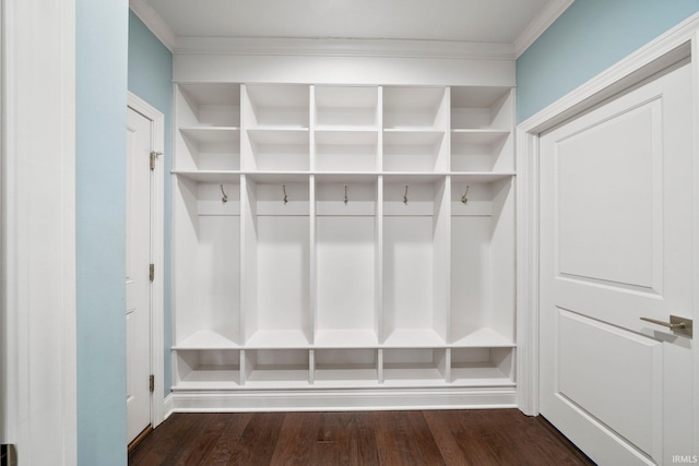 mudroom with dark hardwood / wood-style floors and crown molding