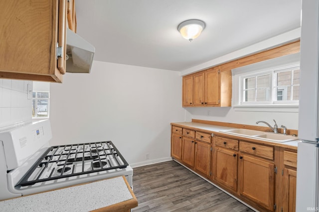 kitchen featuring stove, dark hardwood / wood-style floors, and sink