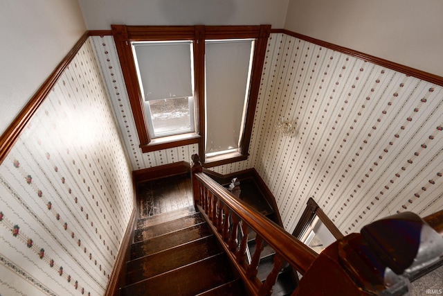 stairway with hardwood / wood-style floors