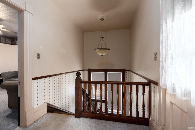 staircase with carpet floors