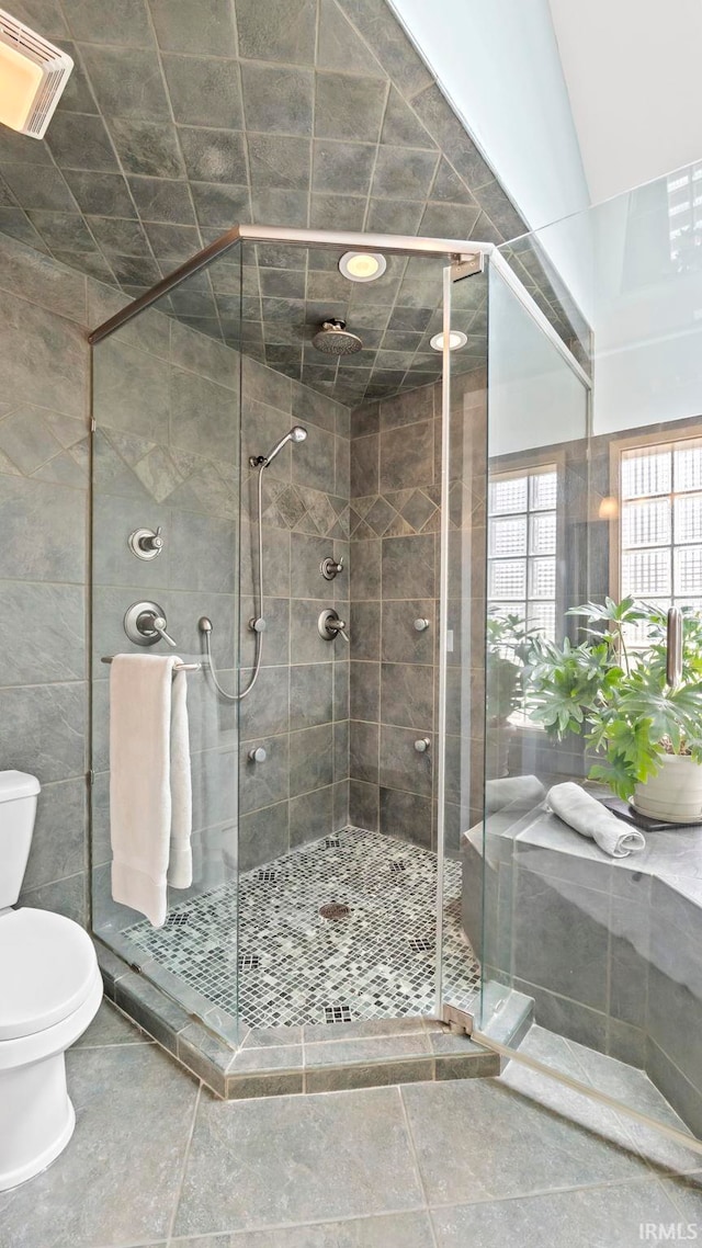 bathroom featuring lofted ceiling, toilet, and a shower with door