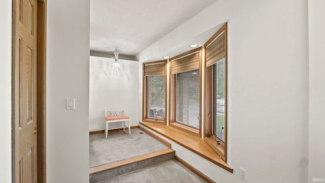 interior space featuring carpet floors