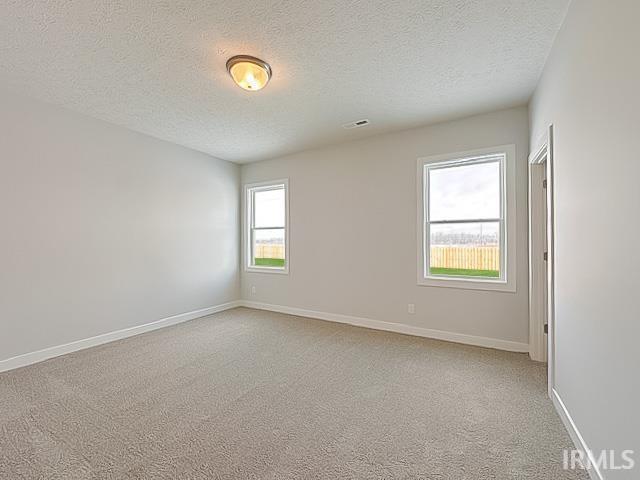 spare room with light colored carpet and a textured ceiling