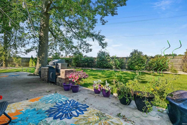 view of yard featuring a patio