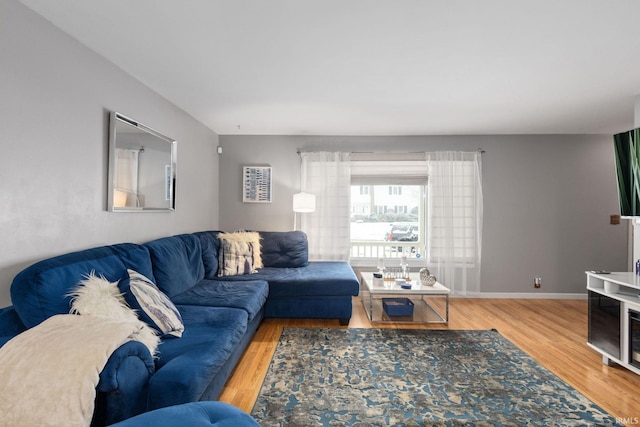 living room with wood-type flooring