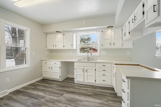 kitchen featuring white cabinets, plenty of natural light, and sink