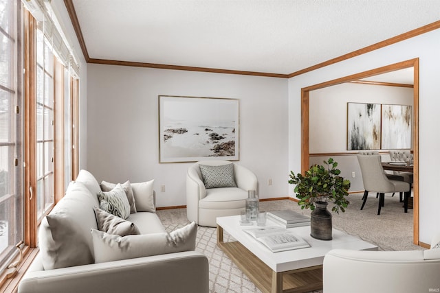 living room with crown molding and light carpet