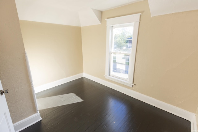 empty room featuring dark hardwood / wood-style floors