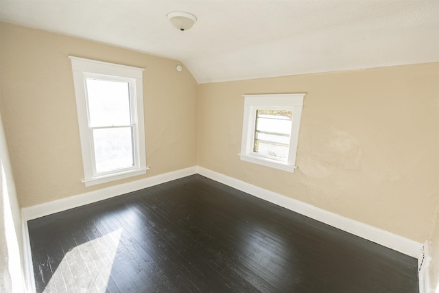 additional living space featuring wood-type flooring and lofted ceiling