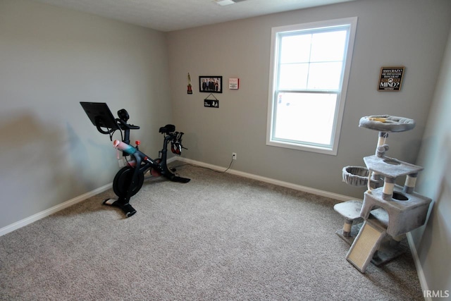 workout room featuring carpet floors