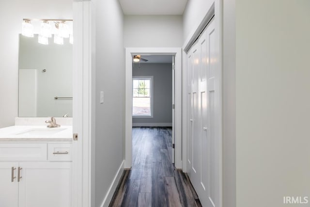 hallway featuring sink and dark wood-type flooring