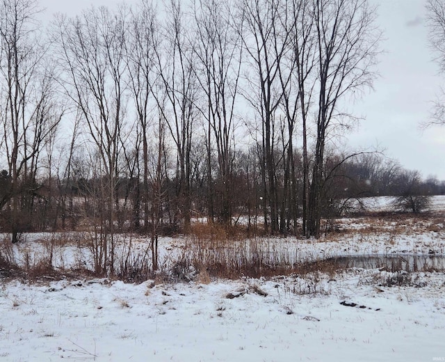 view of yard layered in snow