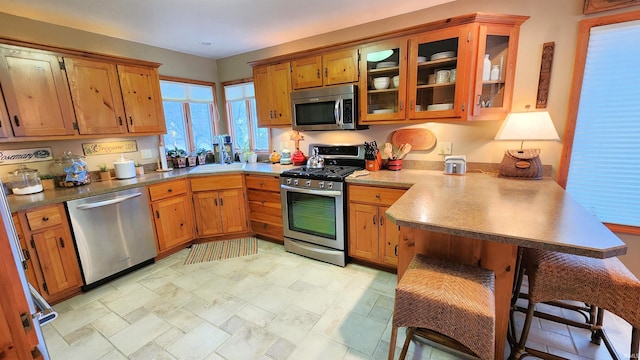 kitchen featuring kitchen peninsula, stainless steel appliances, and a breakfast bar area