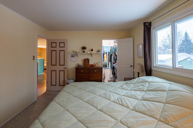 bedroom featuring carpet flooring, a walk in closet, and a closet