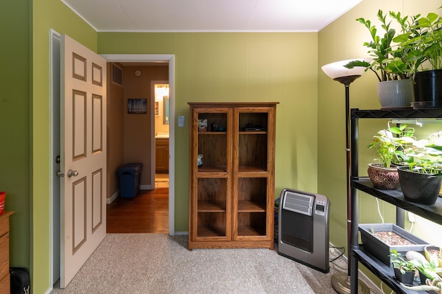 interior space with heating unit and light colored carpet