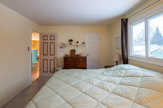 bedroom with carpet floors